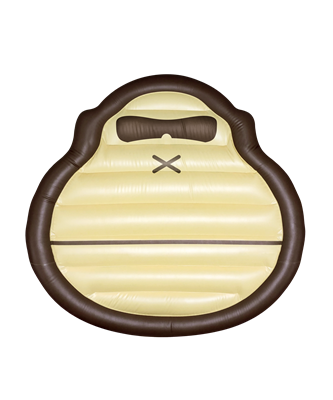 (Acc) Sonny Pool Float