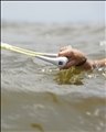 Unisex- Surf Package- Package- Fluro Yellow