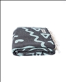 BEACH TOWELS - RAJ THE LION