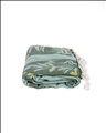BEACH TOWELS - AGAVE